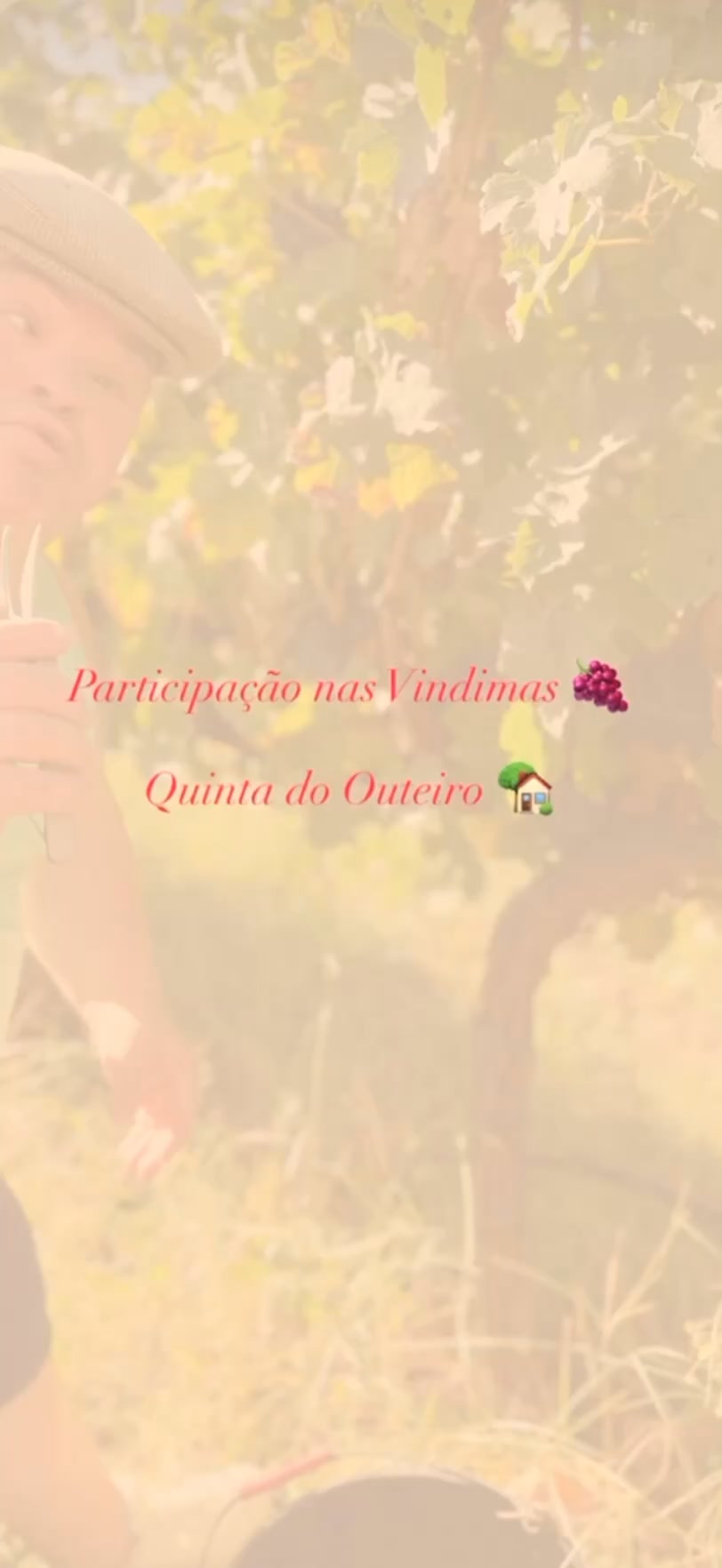 Portas P'rà Vida